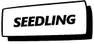 seedling