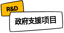 政府支援项目